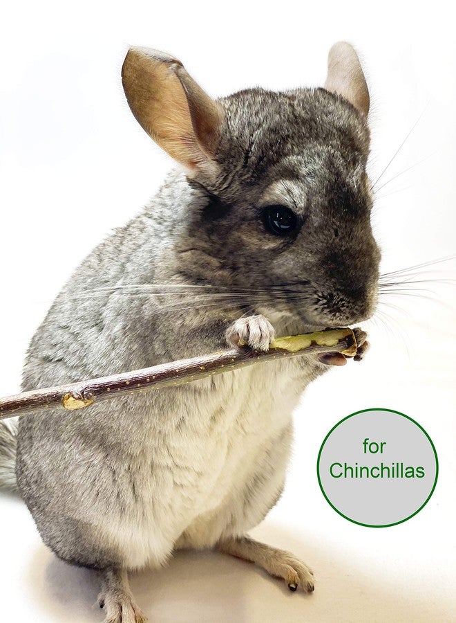 ECOVENIK Apple Sticks 120 gram Rabbit & Hamster Chew Toys - 100% Natural & Organic Chinchilla Food, Treats for Guinea Pig, Squirrels, Parrots & Other Small Animals (Made in Ukraine) - Image 3